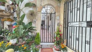 Ortigia Plemmirio al Piano Terra