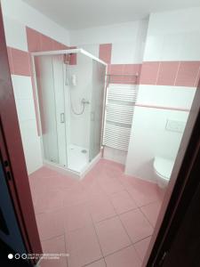 LIPNO WELLNESS - FRYMBURK C112 private family room