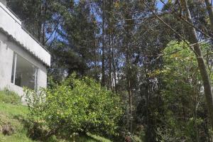 Apartment in Tumbaco - Ilalo