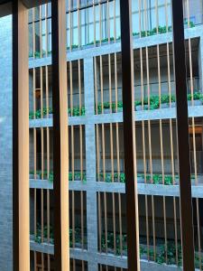 New time Studio 1312