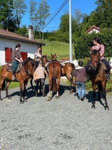 B&B / Chambres d'hotes Ameztoia XVe siecle chambres d-hotes Navarraises : photos des chambres