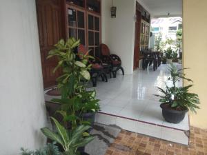 Homestay Anggur