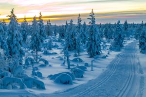 Apartment Saariselkä