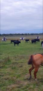 La villa des étangs