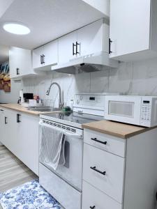 Spacious 2 bedroom with 2 queen beds and one sofa bed lower unit with separate entrance and parking space Near Downtown, Calgary Zoo, Costco and many more