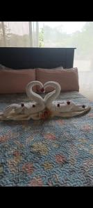 Tropical Crystal House