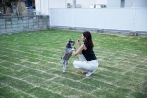 sante 4073 STAY & SAUNA HAKATA ISLAND #1 AROZU