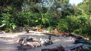 Camping Rancho El Tauro