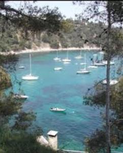 Appartements Appartement idealement situe au coeur du Mourillon : photos des chambres