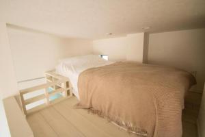 SCS105, 20mins to Skytree, 30 mins to Ueno,Ginza