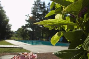 Maisons de vacances - Ancien Chai 6 pers - Vignobles - Nature - Piscine - Les hauts de la Rameyo - : photos des chambres