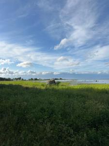 Merevaatega Glämping Kukkas