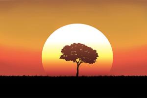 Sejours chez l'habitant Les temps heureux : photos des chambres