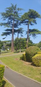 Appartements Plage et Golf ! : Appartement 1 Chambre