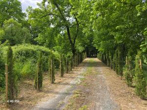 Villas LES LOGIS Du CHATEAU : photos des chambres