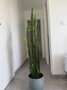 Appartements Appartement moderne et spacieux 3 : photos des chambres