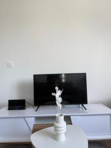Appartements Appartement moderne et spacieux 3 : photos des chambres