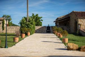 Le Sommet de la Tour, Vue, Calme et Chevaux