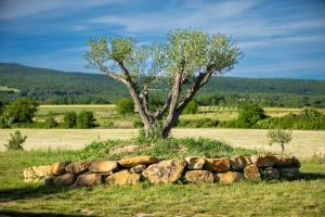 Le Sommet de la Tour, Vue, Calme et Chevaux