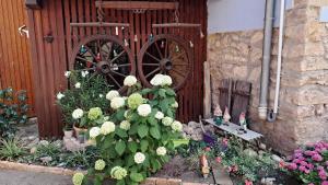 Appartements Cocon a colombage alsacien 