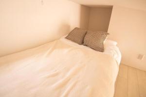 SCS202, 20 mins to Skytree, 30 mins to Ueno and Ginza