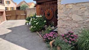 Appartements Cocon a colombage alsacien 