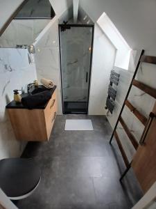 Appartements Loft de charme vue Ocean centre historique : photos des chambres