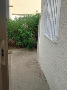 T3 PLEIN PIED FRONT DE MER