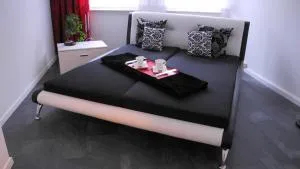 Anton-Ulrich Apartment - Sülzfeld