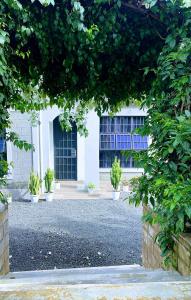 Garden Villa by Wedelia Homes