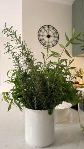 Garden Villa by Wedelia Homes