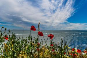 Villa Strandidyll Neubau Ferienwohnung E4