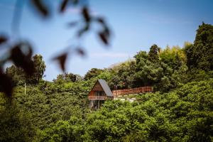 Cozy Cottage In Makhindjauri with Forest and Sea Views