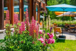Hotels Hotel Engilberge : photos des chambres