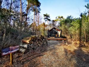 Diamond Suite in the woods