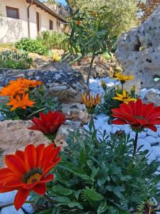 Residence IL CARRUBO