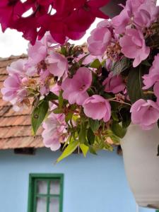 La Sâvulică, punct gastronomic local cu spatii de cazare