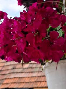 La Sâvulică, punct gastronomic local cu spatii de cazare