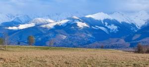 La Sâvulică, punct gastronomic local cu spatii de cazare