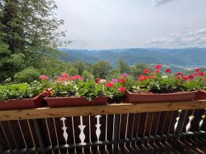 Apartma Mohorič - 3hvězdičkové hotely ve městě Idrija