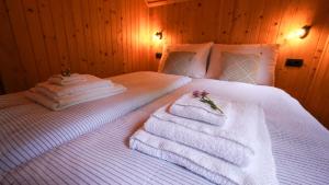 Glamping Avantura- a natural getaway by the Kolpa River 