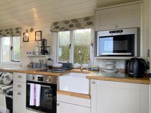 Duck House - 1 Bed Shepherds Hut - Gower
