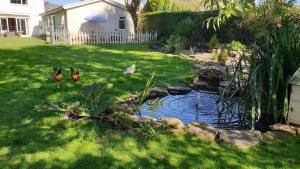 Duck House - 1 Bed Shepherds Hut - Gower