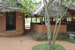 Yala Eco Tree House New