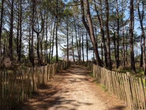 Maisons de vacances Maison 6 pers. a Biscarrosse, proche lac, jardin, BBQ, WiFi, parking, menage inclus - FR-1-319-479 : photos des chambres