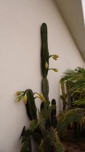 Sea Mê Phú Quý Homestay & Glamping