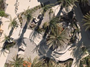 Golden Milos Beach Ηouse by Domotel