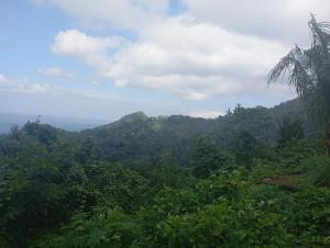 WR Cottage - Worho Rhena