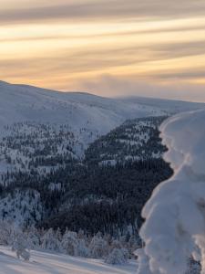 Jussan Luppo - Original Log Cabin, Sauna, Ski 100m