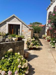 Villa Rosa, Dracevica 45, Brac